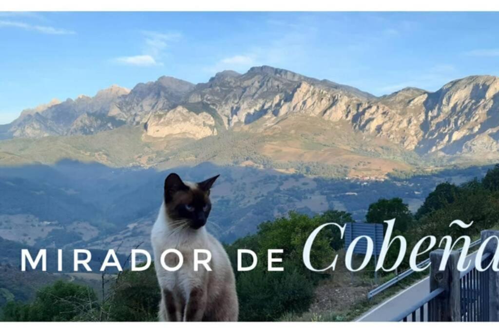 El Mirador De Cobena Ii. Aires De Liebana En Picos Apartment Ngoại thất bức ảnh