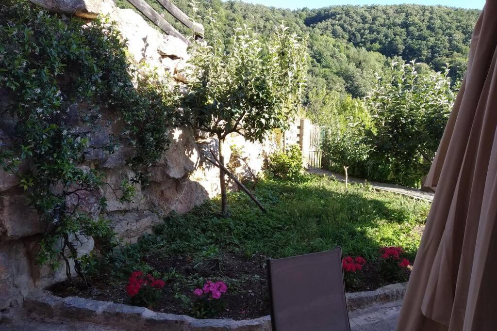 El Mirador De Cobena Ii. Aires De Liebana En Picos Apartment Ngoại thất bức ảnh